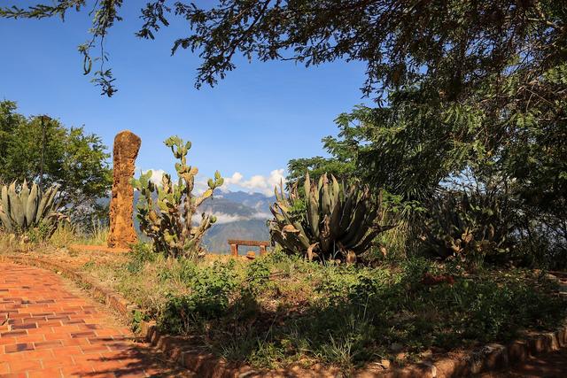 Sendero de miradores donde arranca el Camino Real